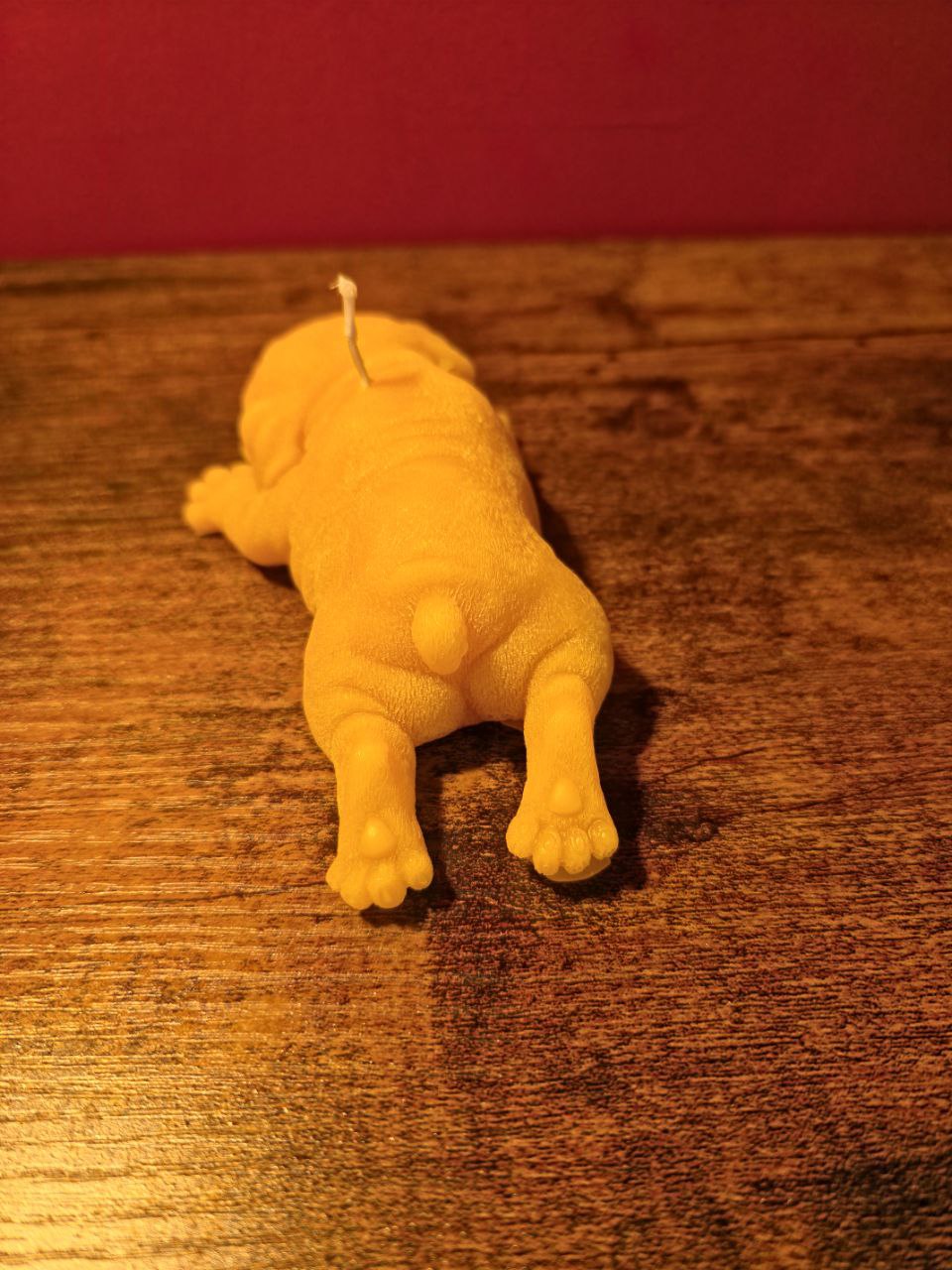 Świeca dla szczeniaka Shar Pei