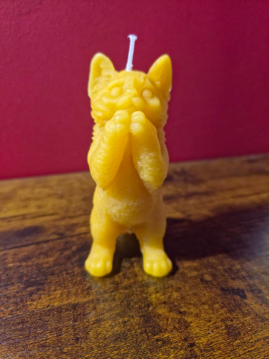 Handmade Pure Beeswax Cat Candle – Natural Honey Scent, Cute Decorative Gift