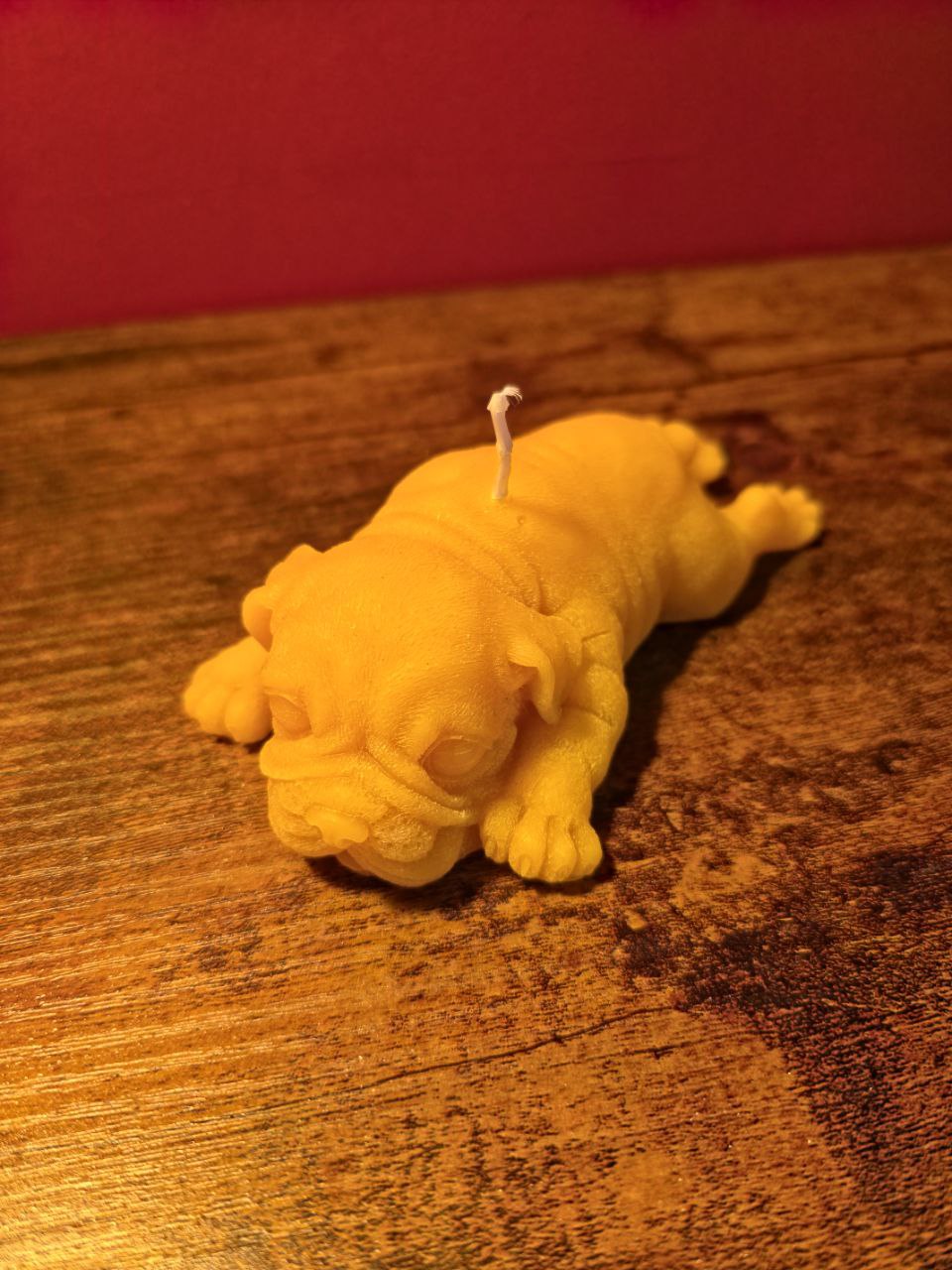 Świeca dla szczeniaka Shar Pei